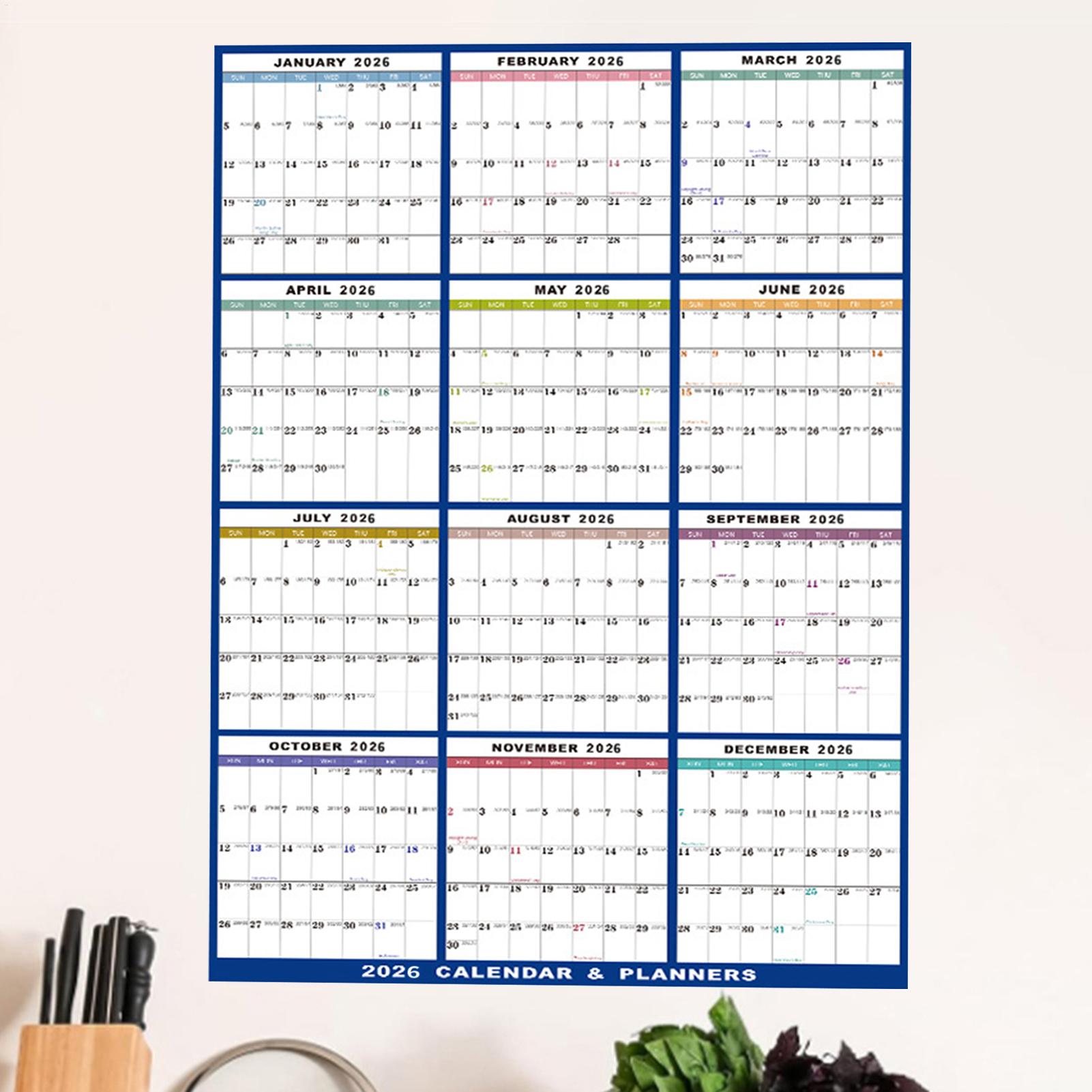 Large Erasable 2026 Wall Calen - Home Office Holidays 2026 评论和价格