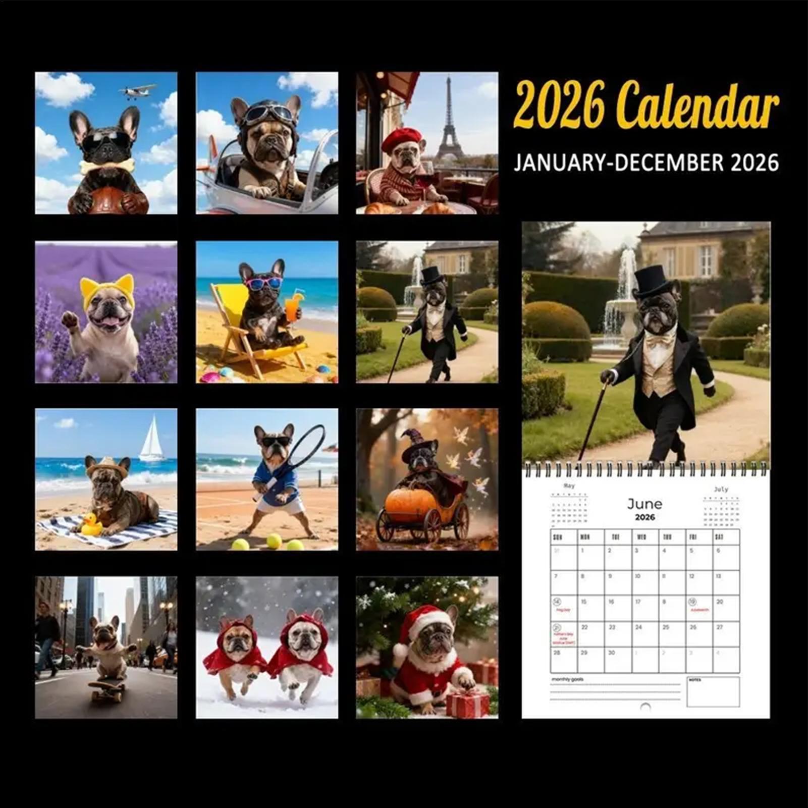 2026  Daily Calendars New Year - Home Office Holidays 2026 评论和价格